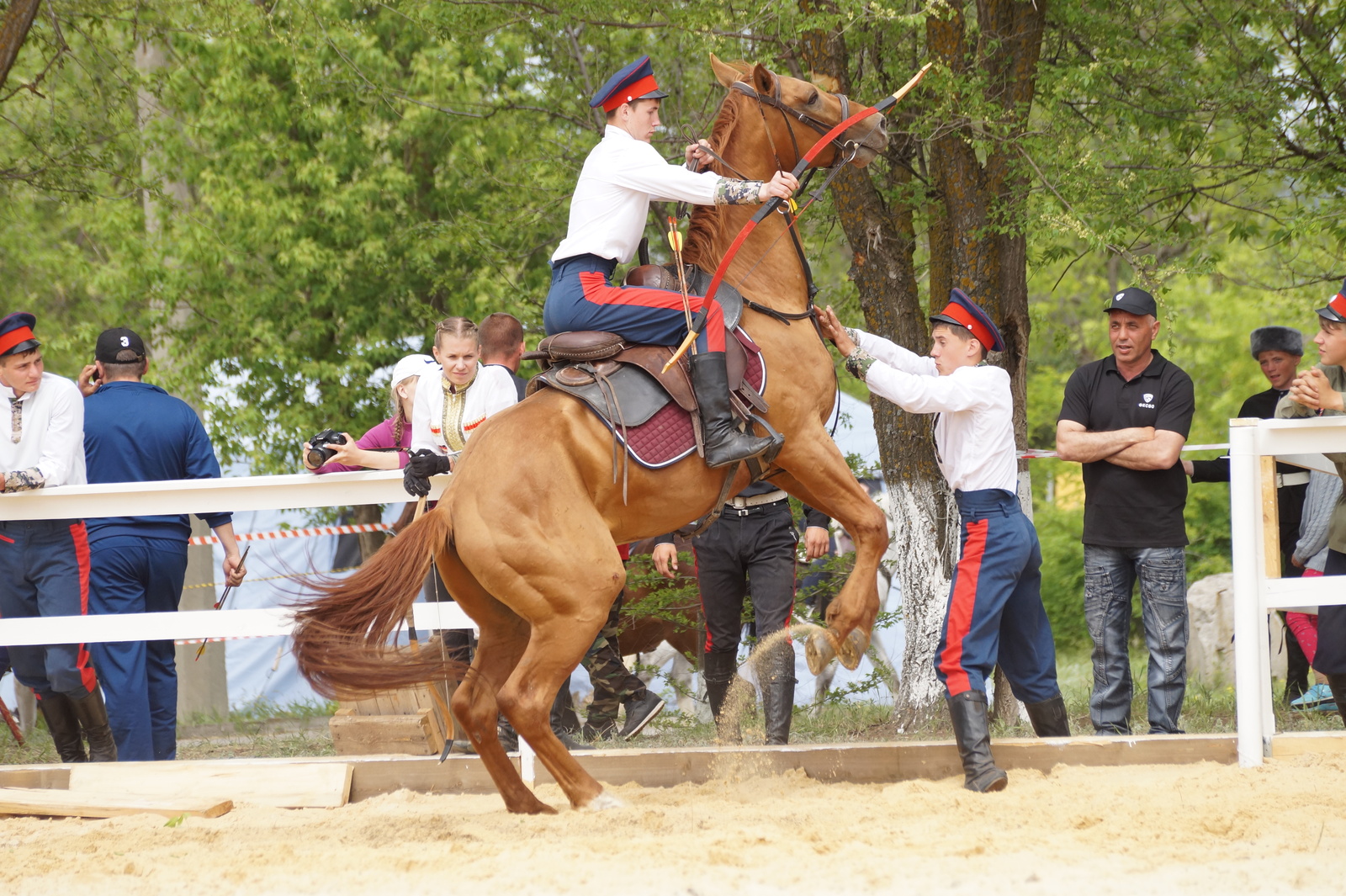 All-Russian Cup in Dzhigitovka - My, Horses, Horses, Dzhigit, The photo, Longpost