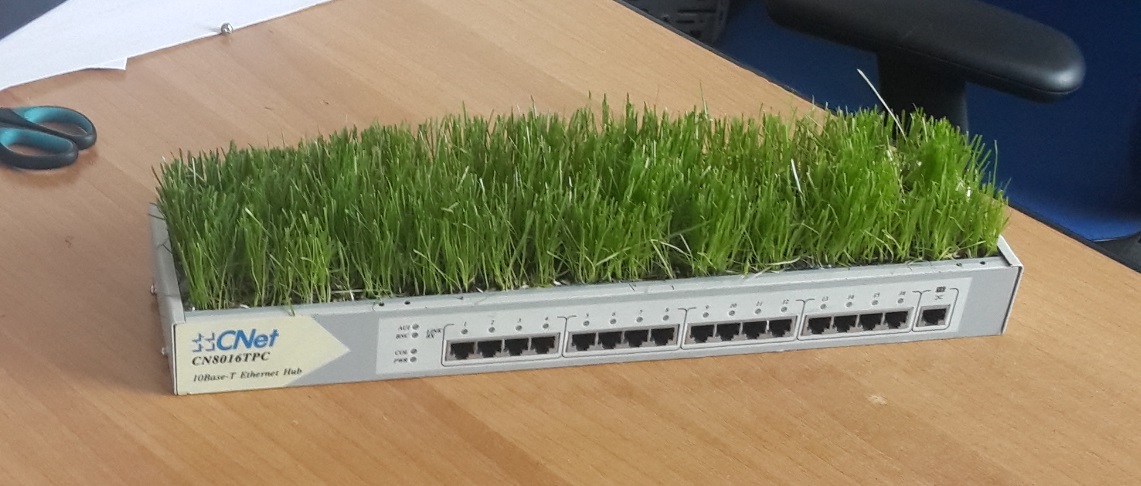 Green ethernet switch - My, Grass, Ethernet, Hub, Nintendo switch, With your own hands, Longpost