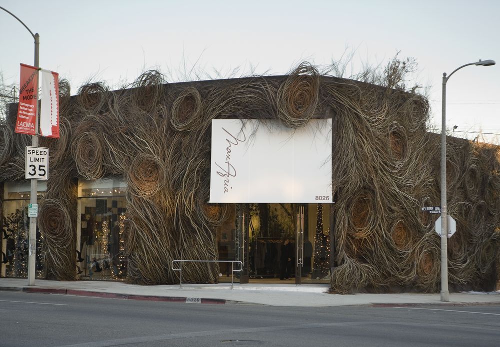 Nests. - Sculpture, Branch, Creation, Idea, Art, Zanamiclub, Longpost