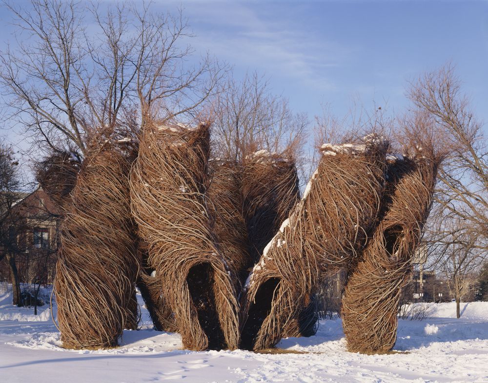 Nests. - Sculpture, Branch, Creation, Idea, Art, Zanamiclub, Longpost