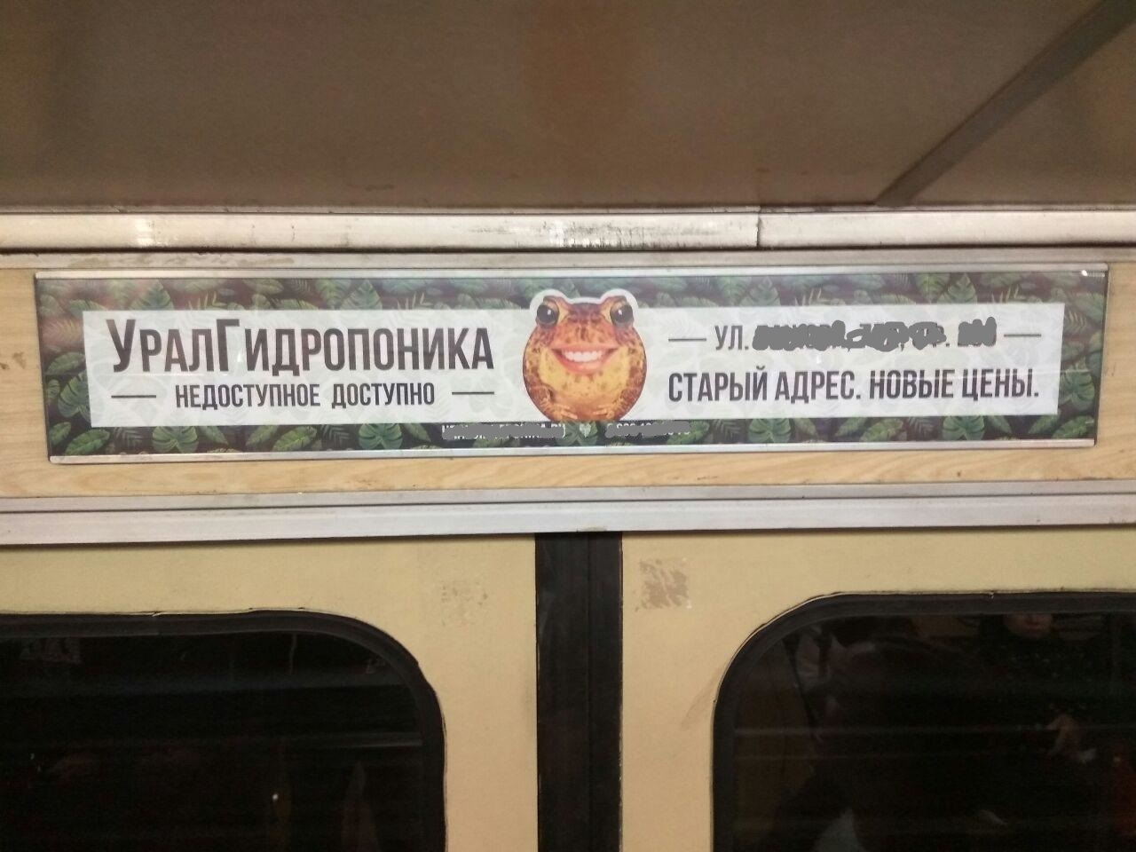 Unreachable is available - My, Advertising, Metro, Hydroponics, Toad, Marketing, Yekaterinburg, , Logo