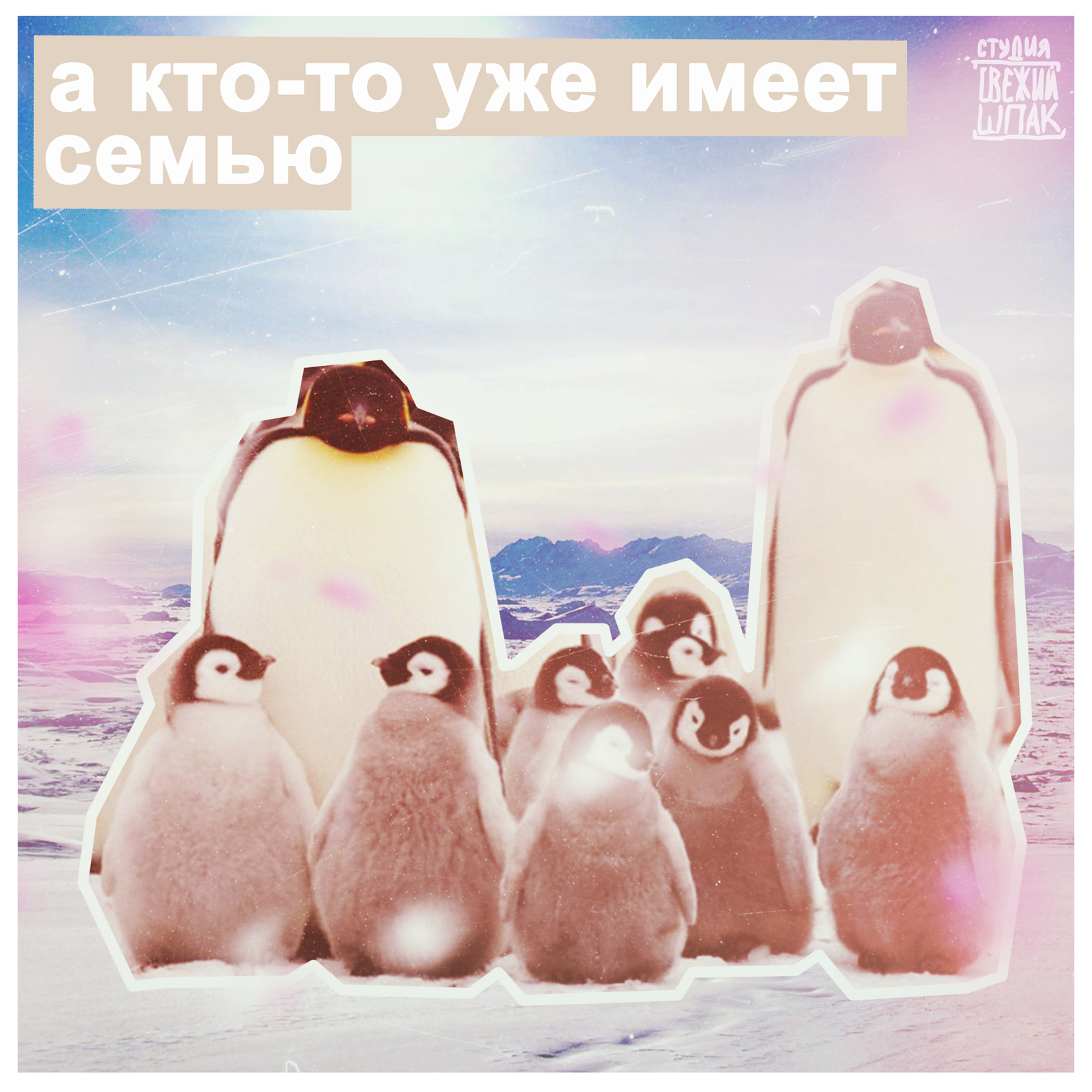 Someone loves... - Penguins, Rainbow, , Love, People, Joy, Positive, Longpost