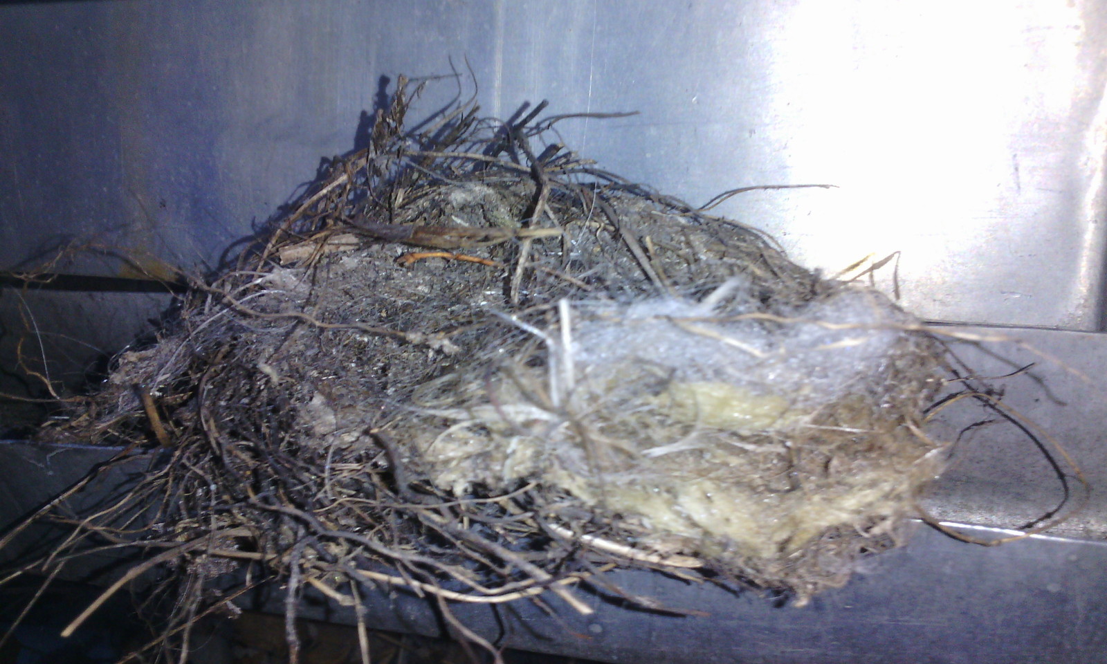 Modern technologies in nest building - My, Nest, Birds, Building, Mineral wool, Technologies