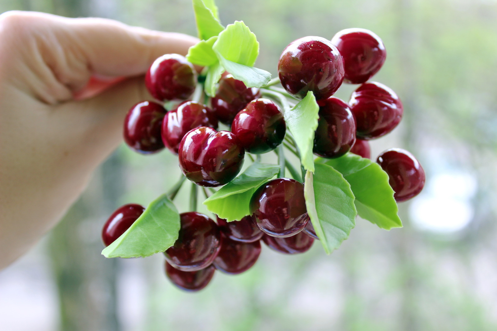 Cherries from HF - My, Cherries, , Лепка, 