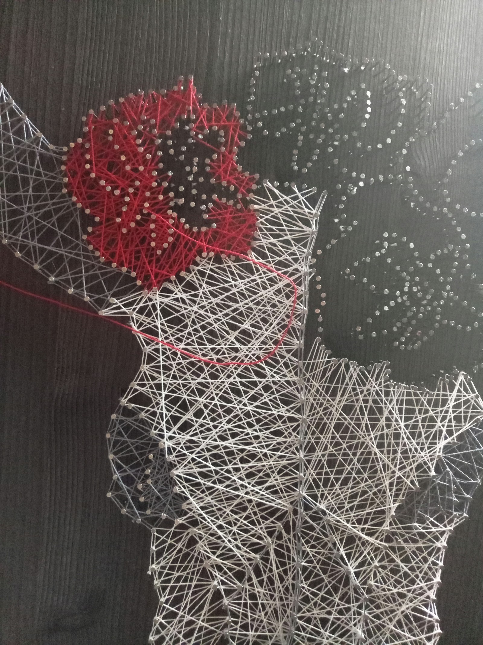 Picture of nails and threads or String art. - My, Painting, Thread, Nails, Creation, Longpost