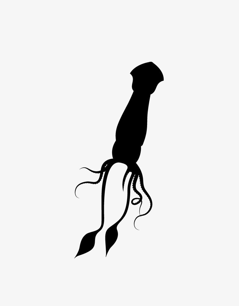 Superbly rendered illustrations of predators and their prey - Minimalism, Predator, Victim, Illustrations, Longpost