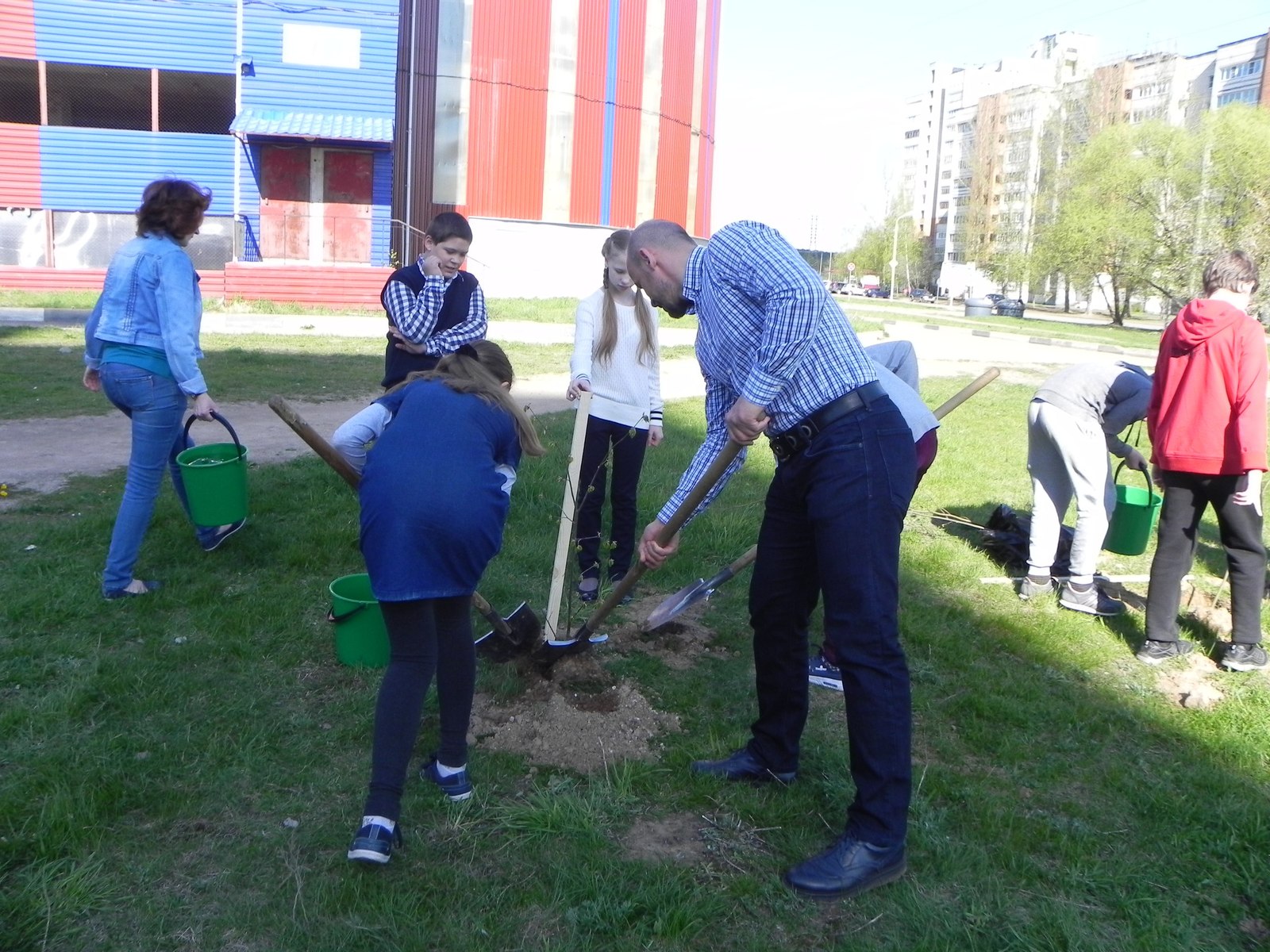 Heroes of our yard. - My, United Russia, , , Fagots