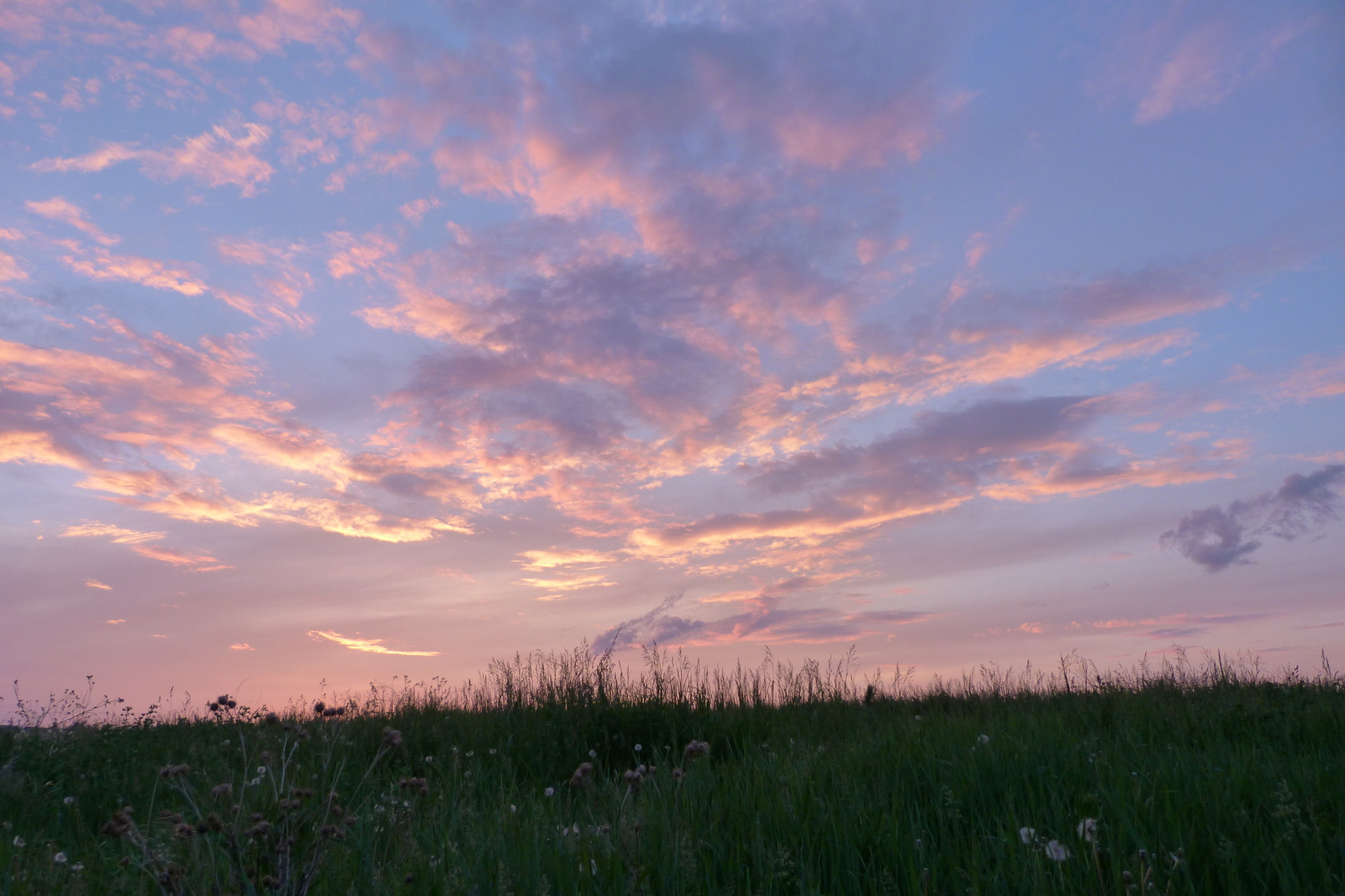 Sunsets - My, Sunset, Sky, The sun, Beautiful, Grass, Longpost