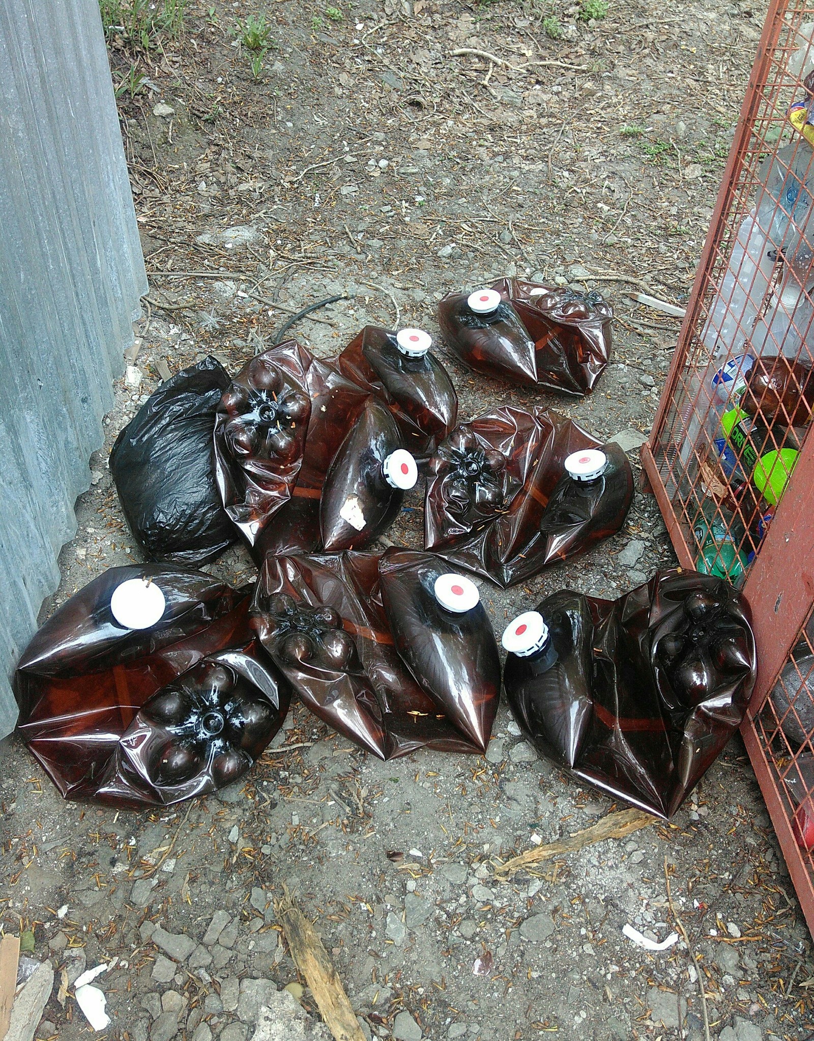 Yes, let's take a bottle, they said - Beer, Garbage, Weekend