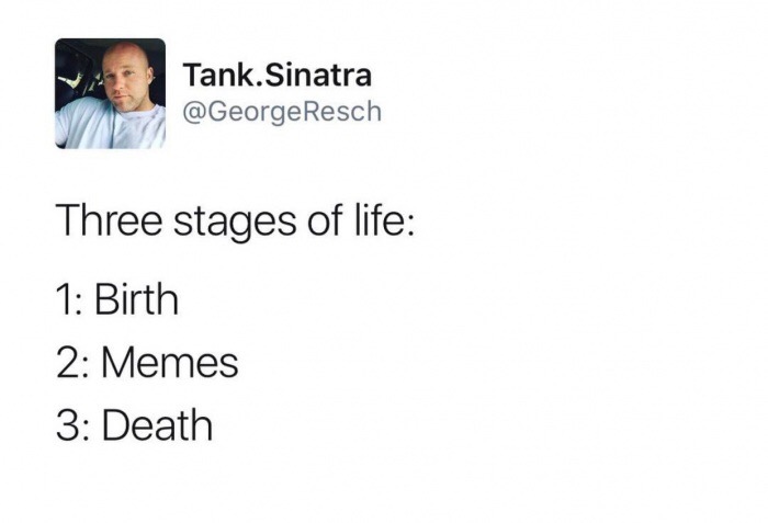 Stages of life. - Memes, Tank Sinatra, A life