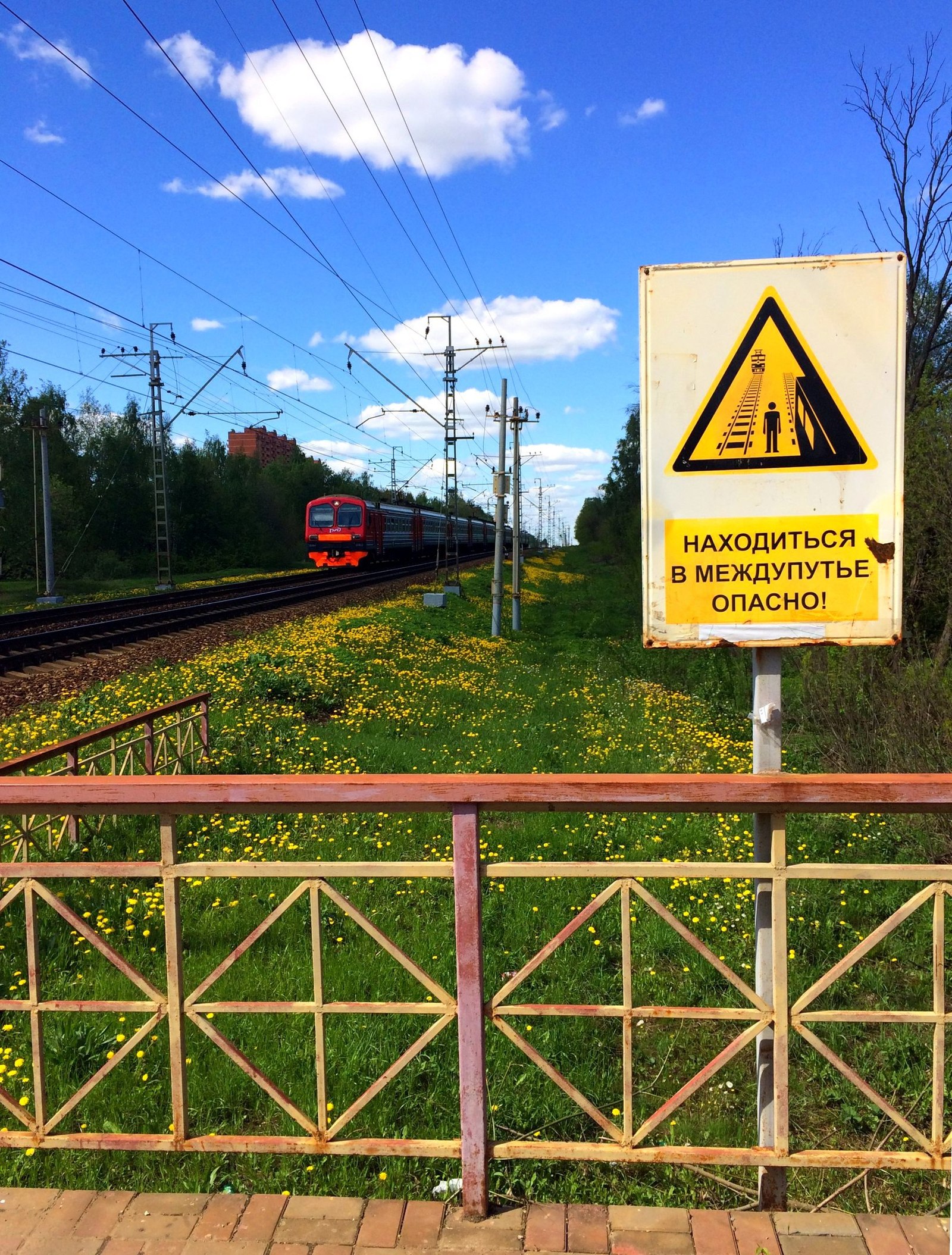 Station Novodachnaya - My, Train, The photo