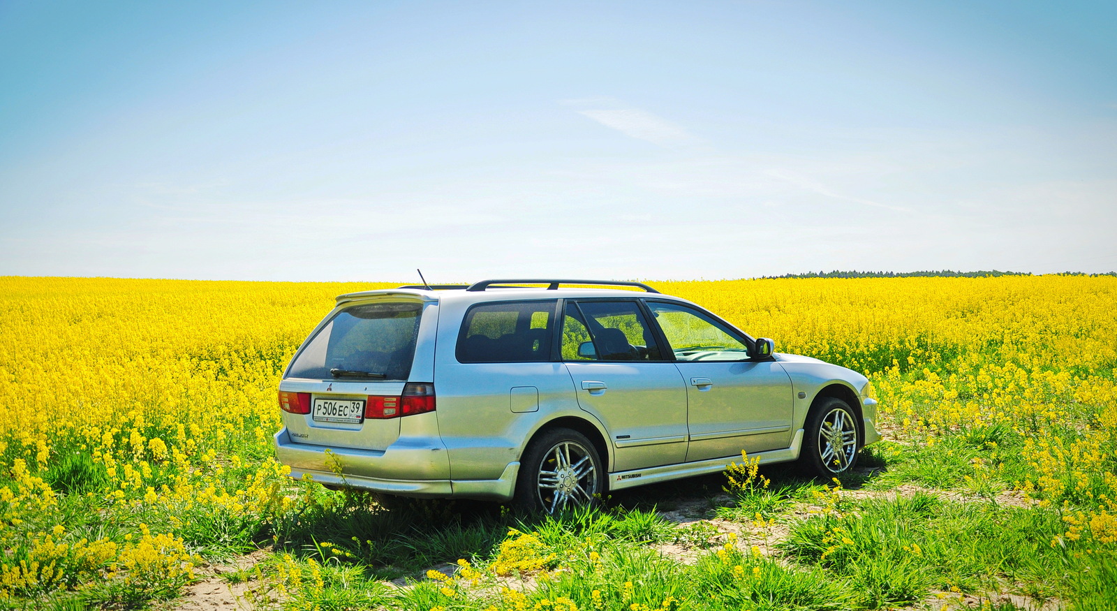 Blooming rapeseed and favorite car :) - The photo, Colza, rapeseed field, , Longpost