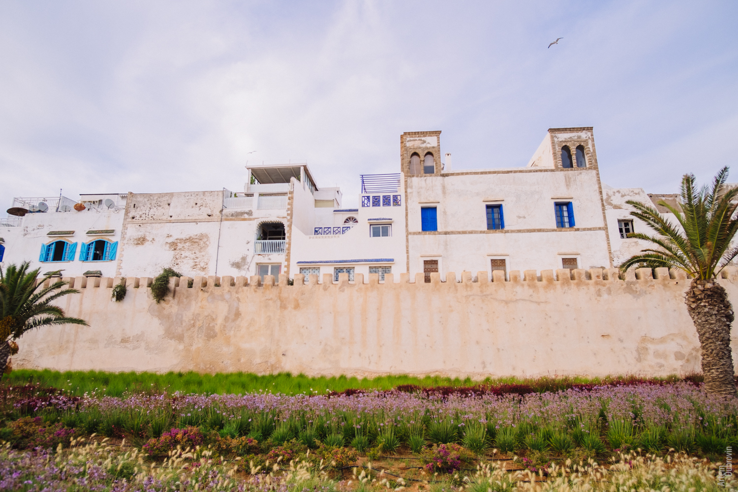 Марокко. Остановка вторая - Эссуэейра (Essaouira) - Моё, Марокко, Essaouira, Путешествия, Пейзаж, Fujifilm, Fujifilmru, Урбанфото, Длиннопост, Эссувейра