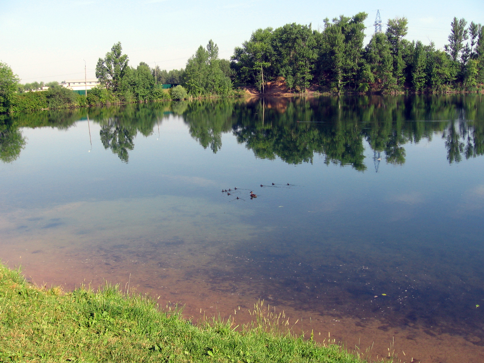 Moscow region, 11 km from MKAD - My, Подмосковье, The photo, Nature, Longpost