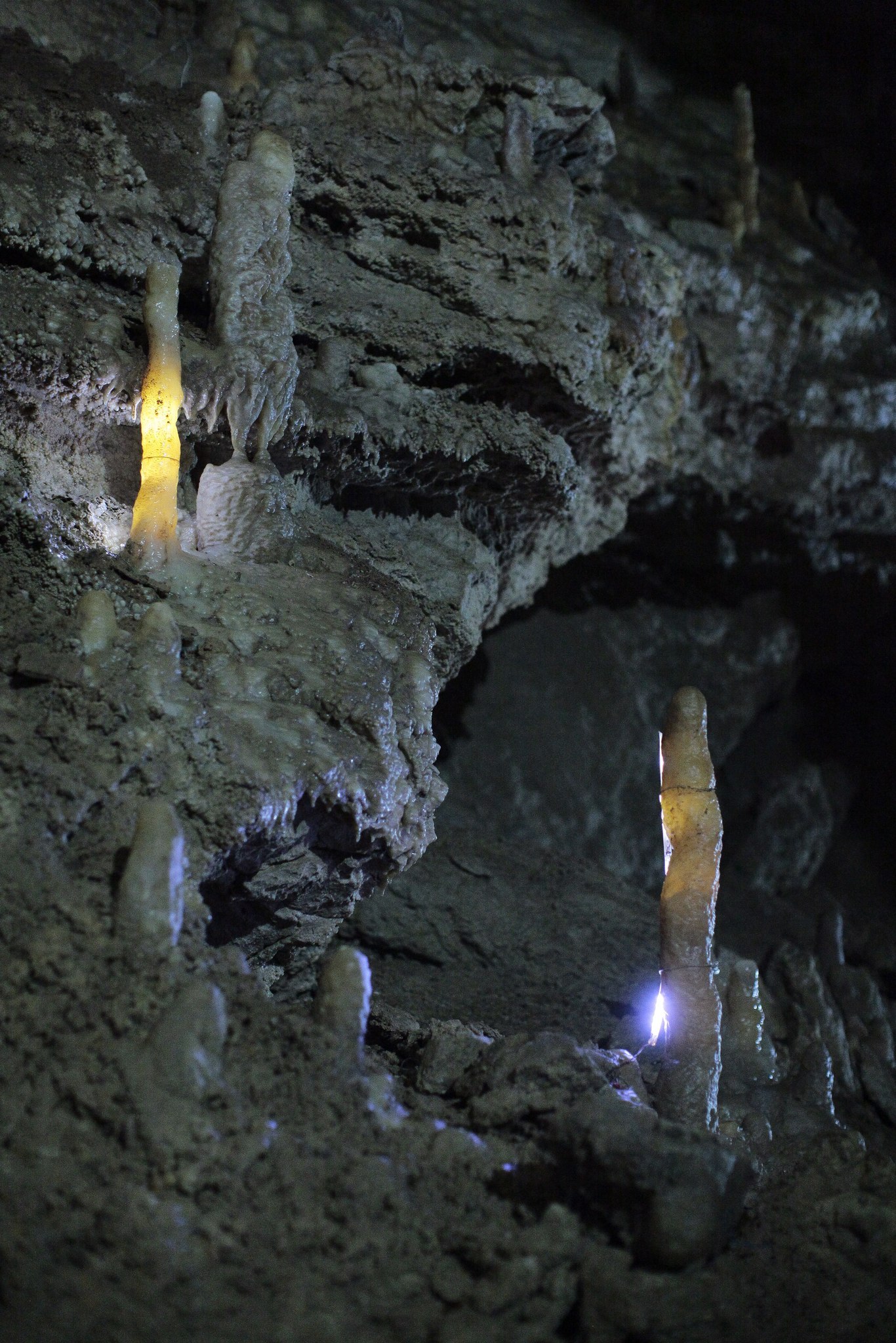 Stalactites and stalagmites in the New Athos caves - My, Caves, New Athos cave, Stalactites, Stalagmites, The photo, Travels