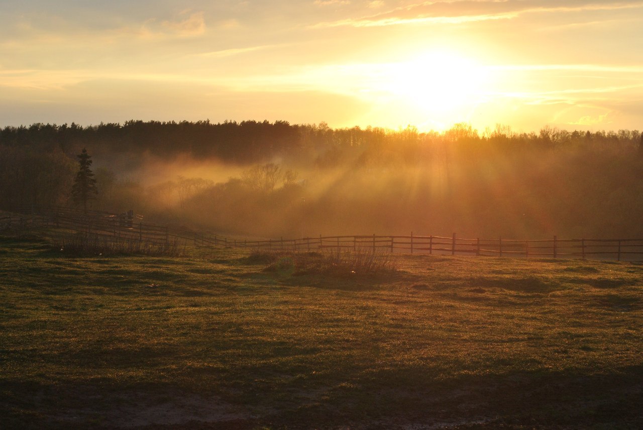 Sunset in the village of Papino (Zhukovsky district, Kaluga region, Russia) - My, Battle of sunsets, Sunset, Longpost