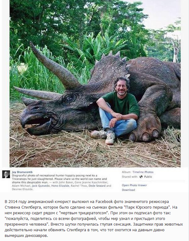 The stupidity of animal rights activists. - Steven Spielberg, Animal defenders, Fast