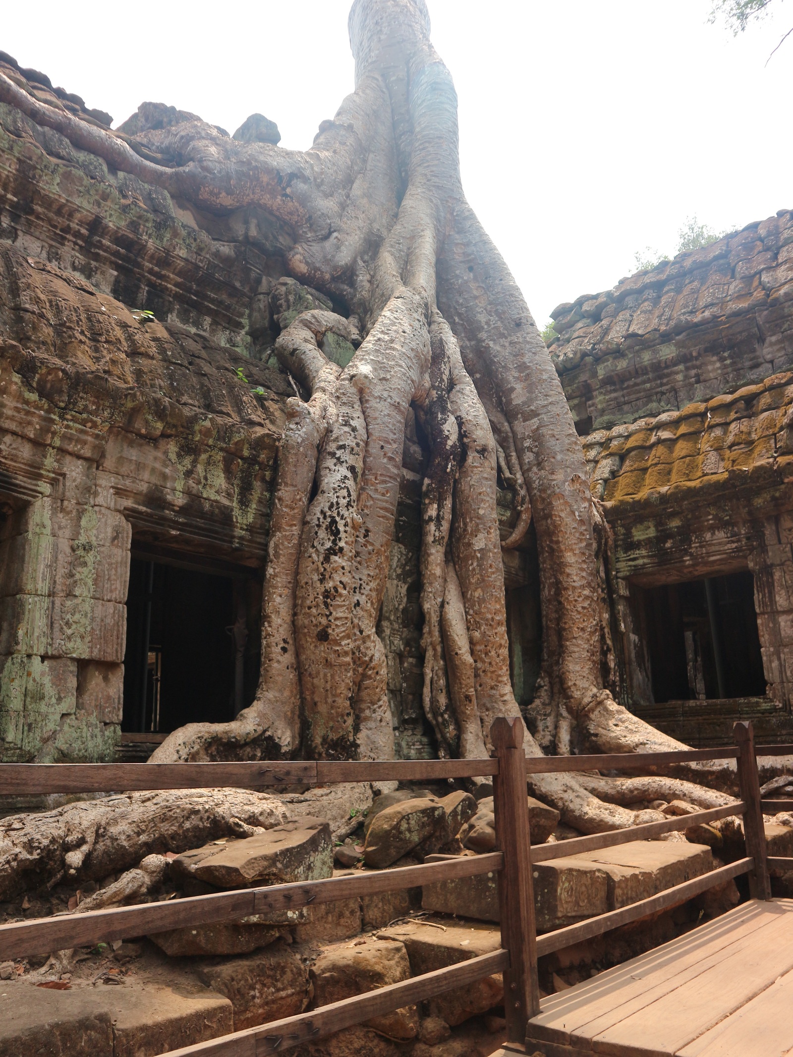 Angkor. - My, Travels, angkor, Cambodia, Angkor Wat, A bike, Longpost