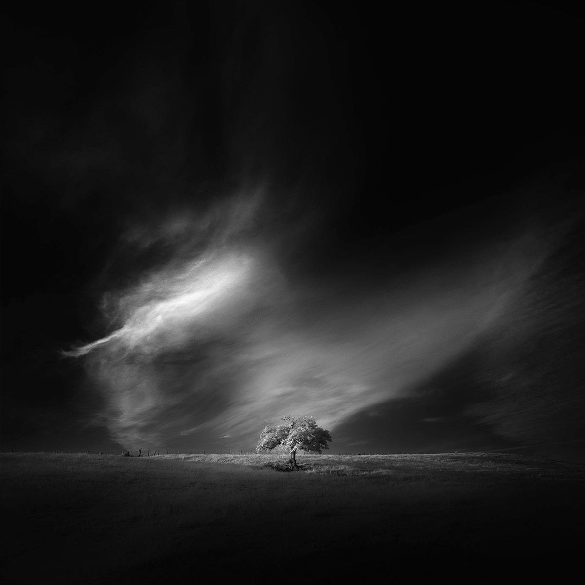 Space Monologues by Andy Lee - , The photo, Longpost