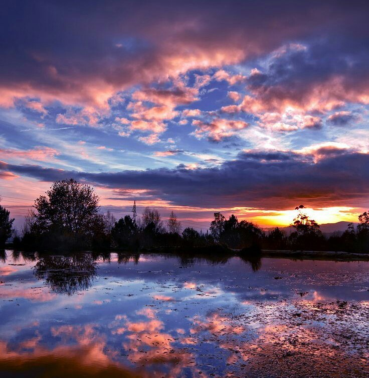 Beauty is in the details - Clouds, From the network, River, Sunset, beauty of nature, beauty