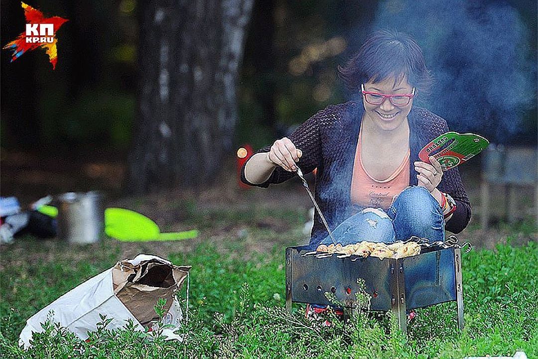 Самые дурацие законы Госдумы с комментариями сатирика - Россия, Госдума, Политика, Длиннопост