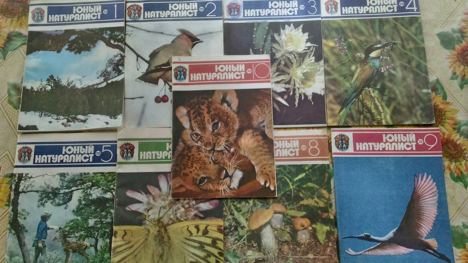 Internet as a child with my parents - My, Young Naturalist, Find, Magazine, the USSR, Longpost