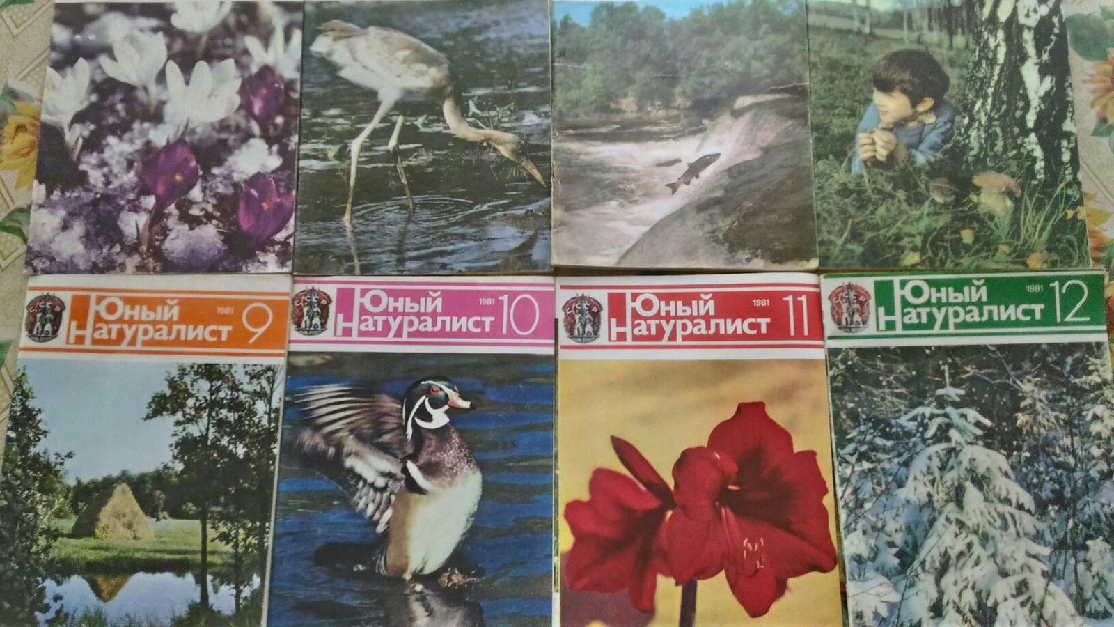 Internet as a child with my parents - My, Young Naturalist, Find, Magazine, the USSR, Longpost