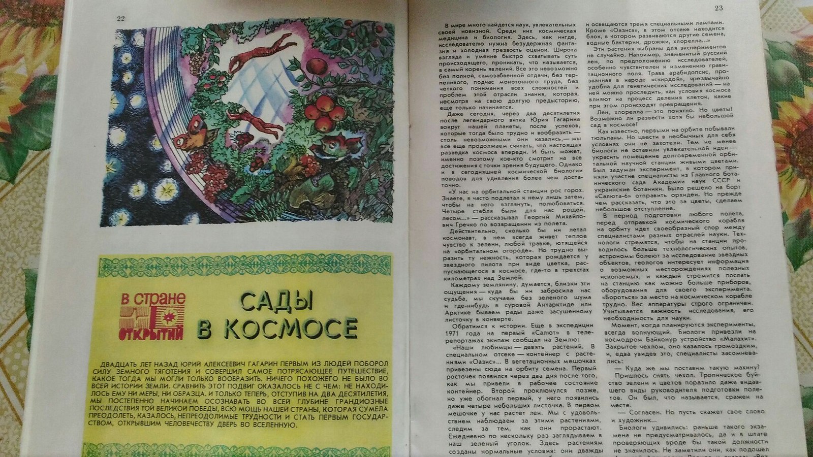 Internet as a child with my parents - My, Young Naturalist, Find, Magazine, the USSR, Longpost