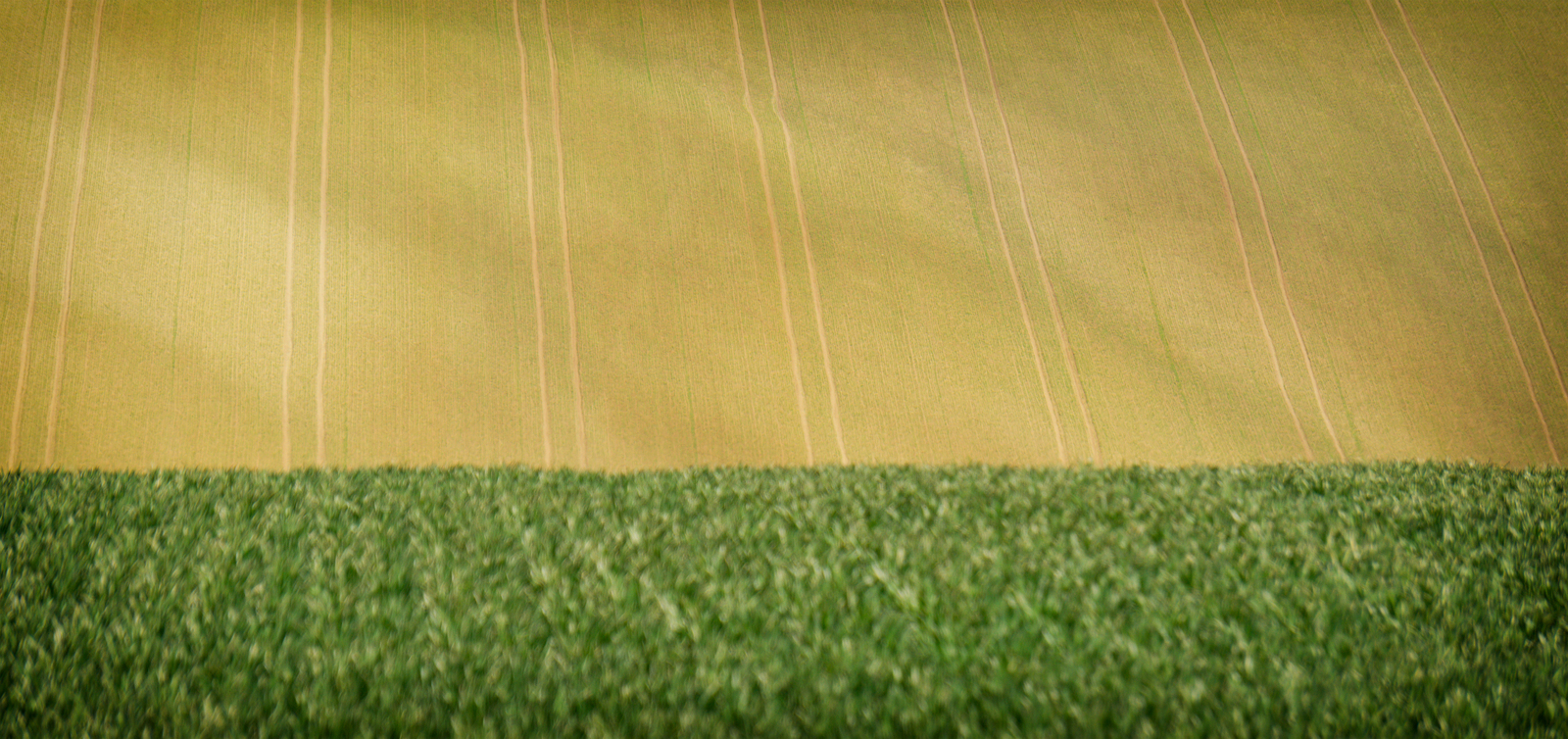 Hills of Moravia - My, Czech, Moravia, The hills, Field, Longpost