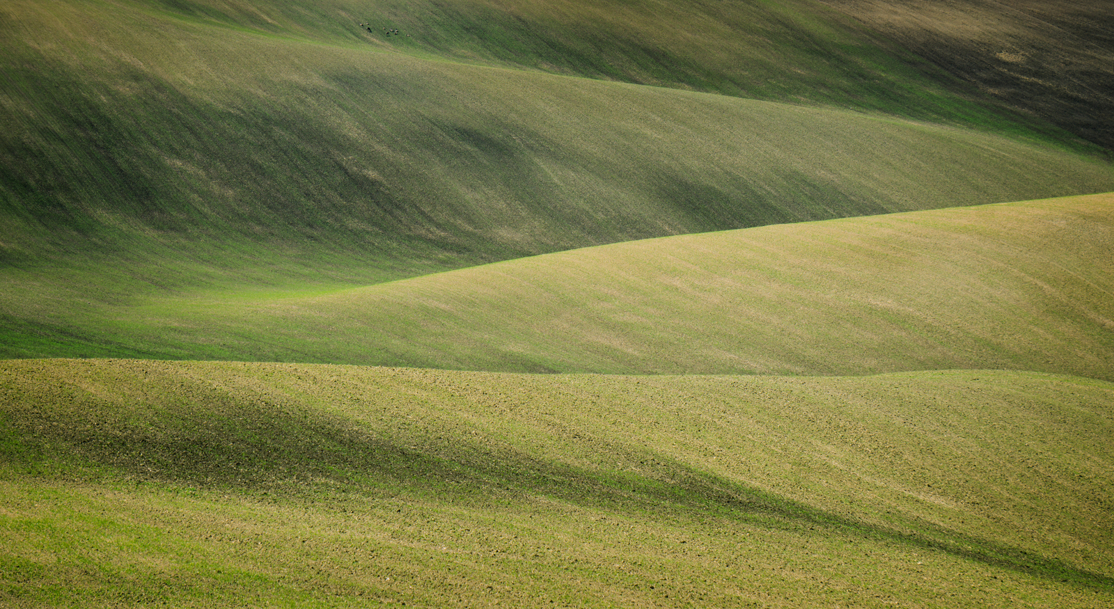 Hills of Moravia - My, Czech, Moravia, The hills, Field, Longpost