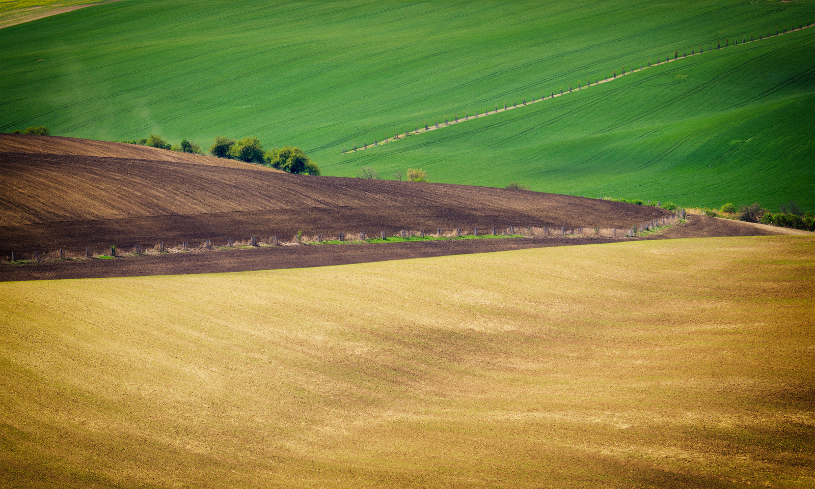 Hills of Moravia - My, Czech, Moravia, The hills, Field, Longpost