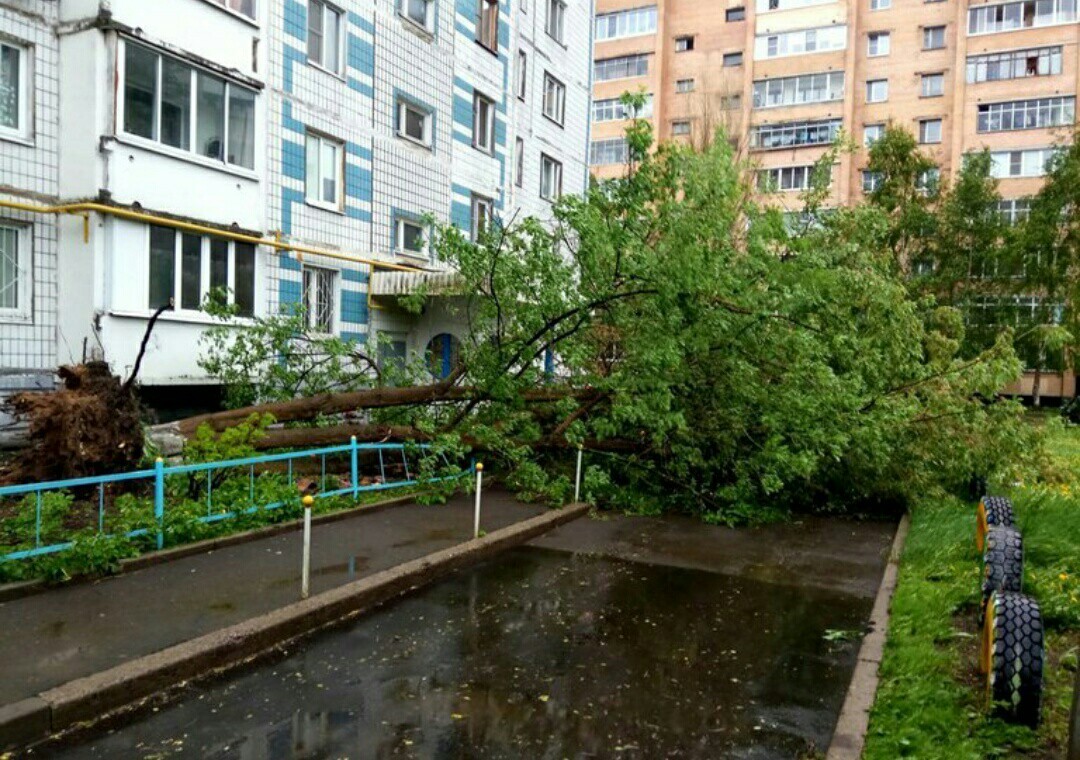 Today's hurricane in Mytishchi - The photo, Thunderstorm, Hurricane, Weather, Longpost