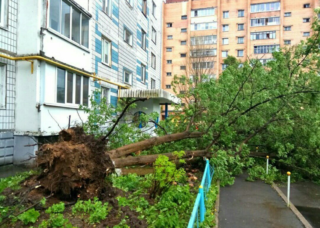 Today's hurricane in Mytishchi - The photo, Thunderstorm, Hurricane, Weather, Longpost