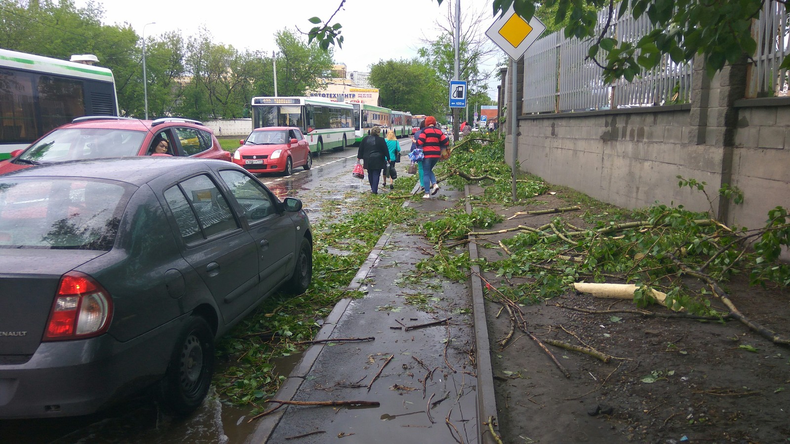 Тем временем в Москве..(Рябиновая улица,недалеко от Вест Плаза и Выхино). - Моё, Штормовое предупреждение, Дерево, Длиннопост