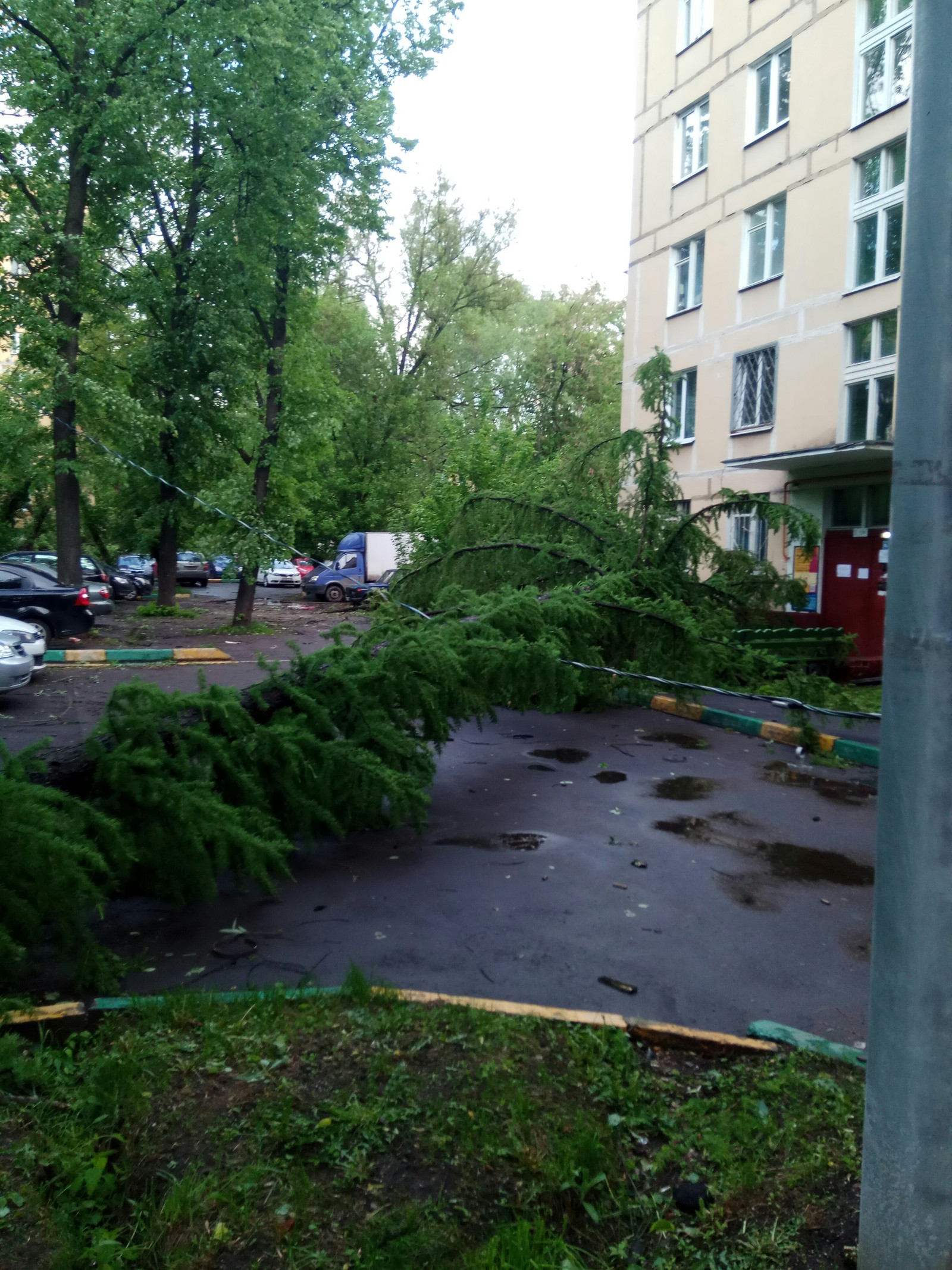 Последствия непогоды в Москве - Моё, Ураган, Природа, Длиннопост