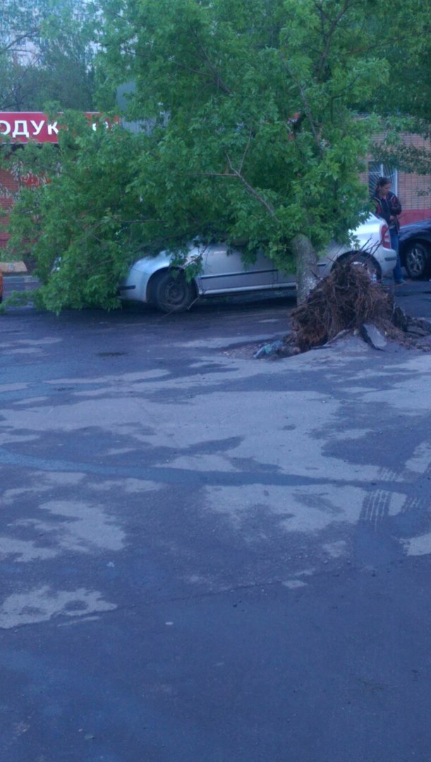 Consequences of the strongest wind in Moscow, Perovo - My, Moscow, Wind, Consequences, Hurricane, Longpost