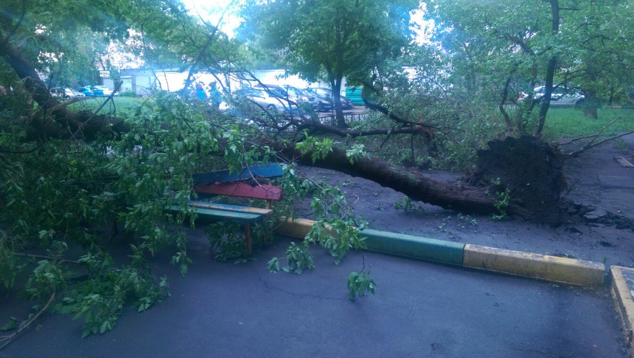 Consequences of the strongest wind in Moscow, Perovo - My, Moscow, Wind, Consequences, Hurricane, Longpost