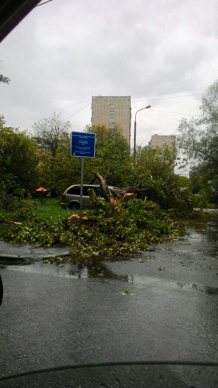 Consequences of the hurricane, Moscow, SVAO - Hurricane, Moscow, Longpost