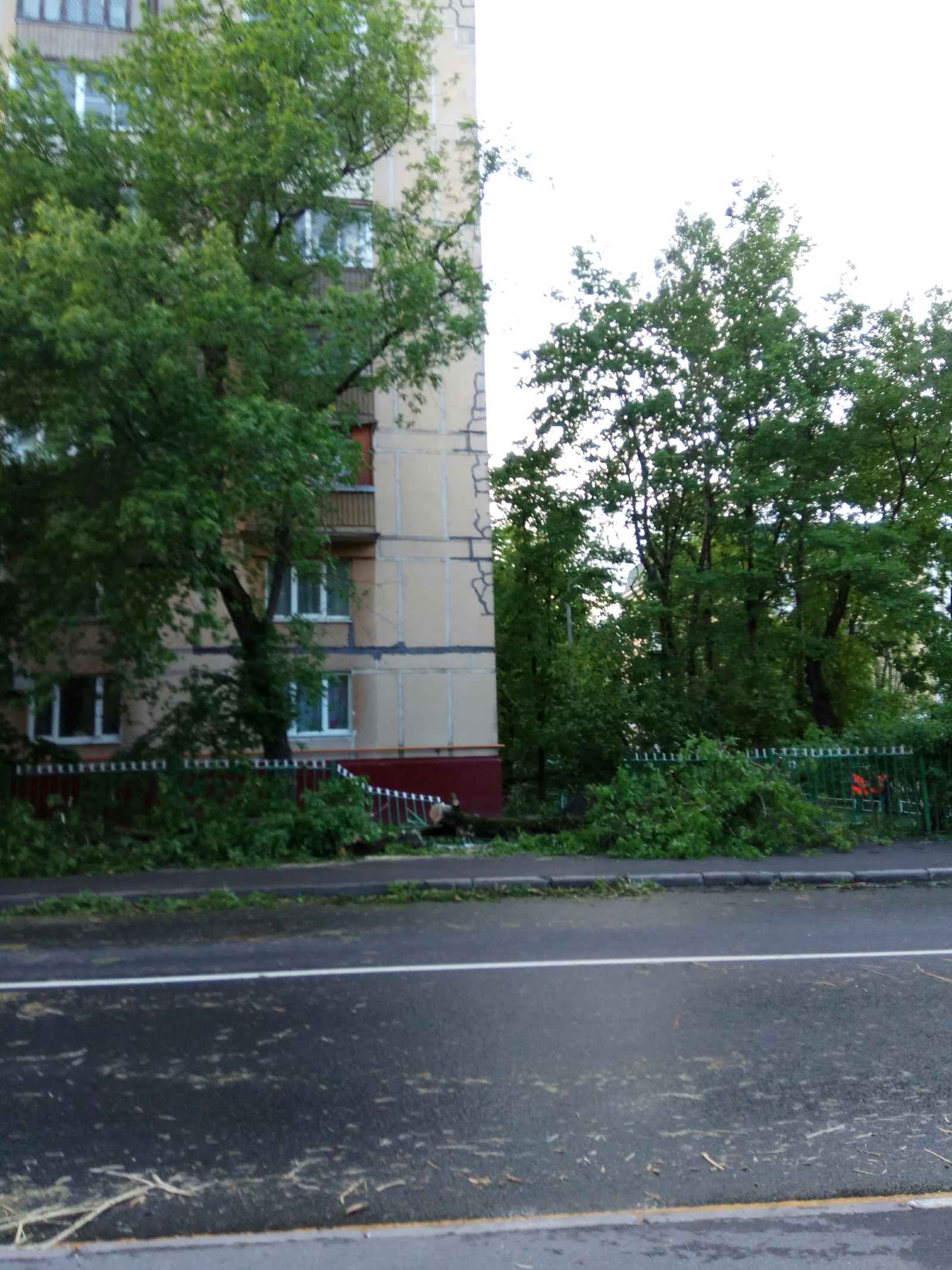 Hurricane in MoscowA selection of photos of the past hurricane in Moscow - Hurricane Matthew, Hurricane, Tree, Wind, Storm, Longpost