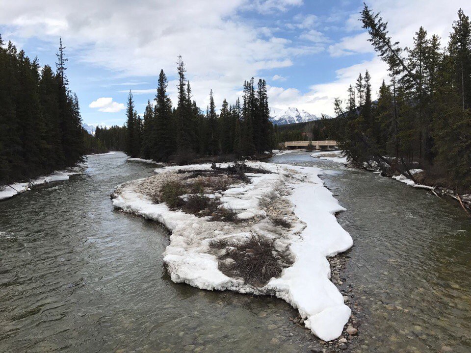 Природа Канады. Городок Лейк Луиз. Понаехали in Canada. - Моё, Путешествия, Туризм, Длиннопост, Канада, Северная Америка, США, Горы, Фотография, Видео