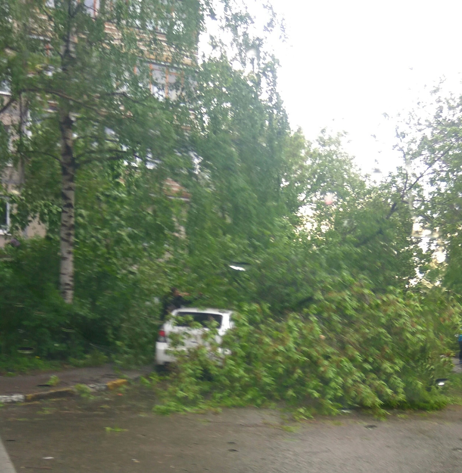 Moscow. - My, Longpost, Moscow, Hurricane, Storm, The photo