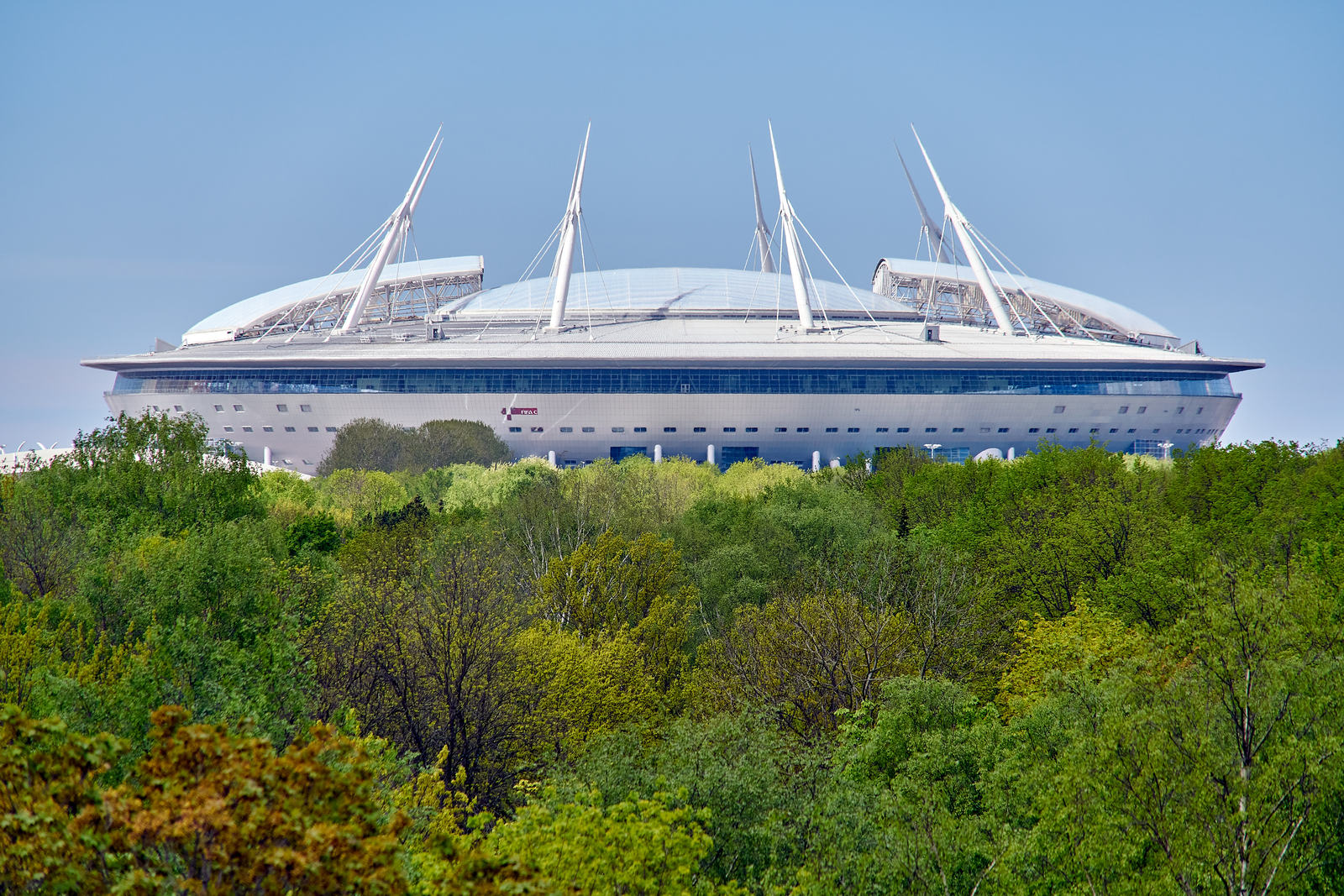 Today I brought you a flying saucer - My, Saint Petersburg, Stadium, Greenery