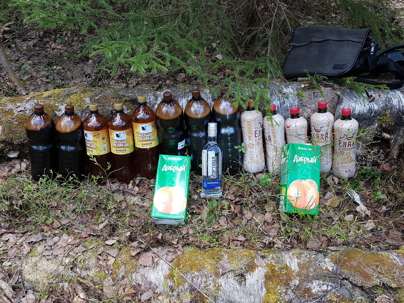 That moment when you realize that the day will be wonderful) - Nature, , Forest, Picnic, Alcohol