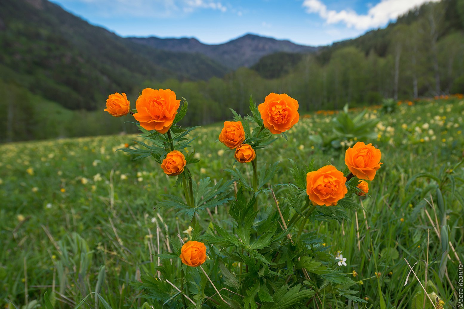 May in Altai - Russia, The photo, Nature, May, Landscape, Gotta go, Svetlana Kazina, Longpost