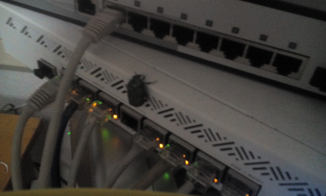 I go into the server room, and there is a new sysadmin. - My, Sysadmin, Server, Bug, Work