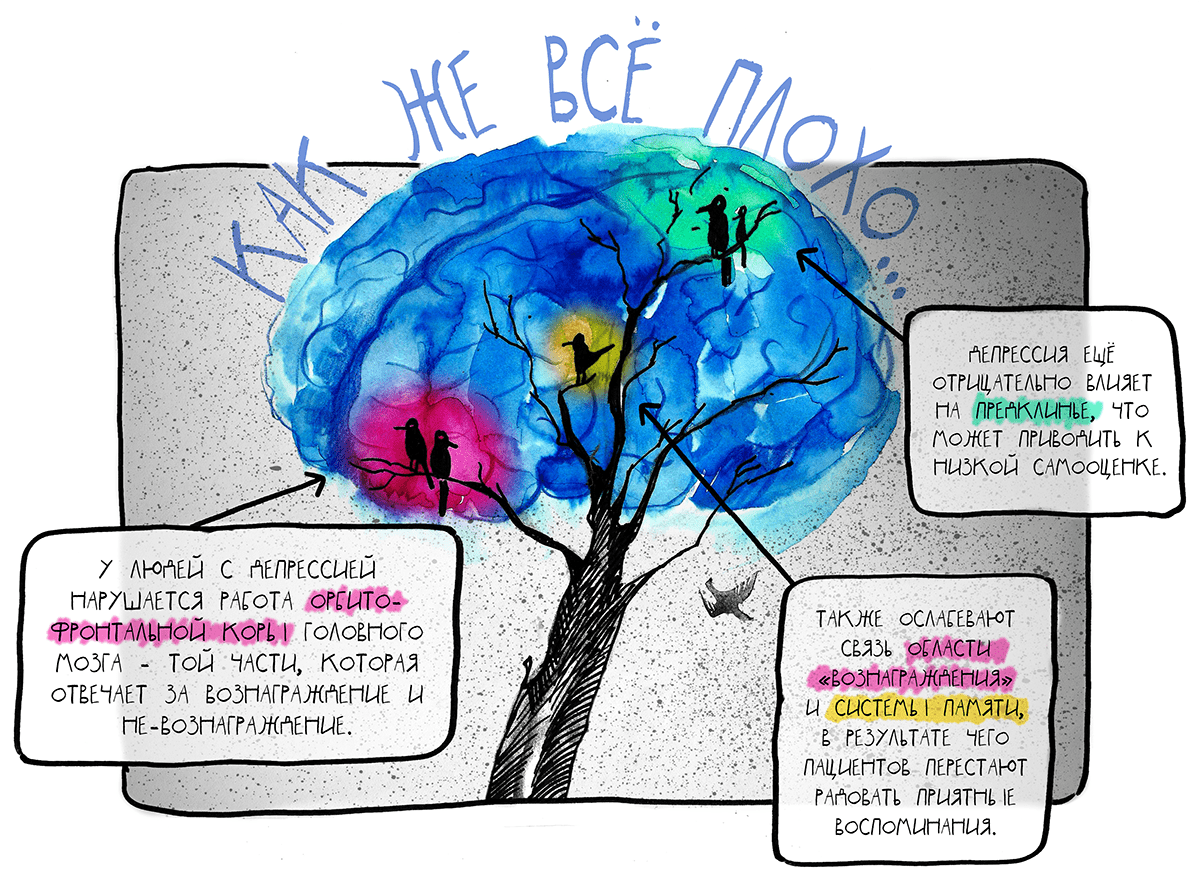 Depressive genes and the sad brain: where, how and why depression occurs - My, The science, Biomolecule, Facts, Interesting, The medicine, Depression, Informative, Nauchpop