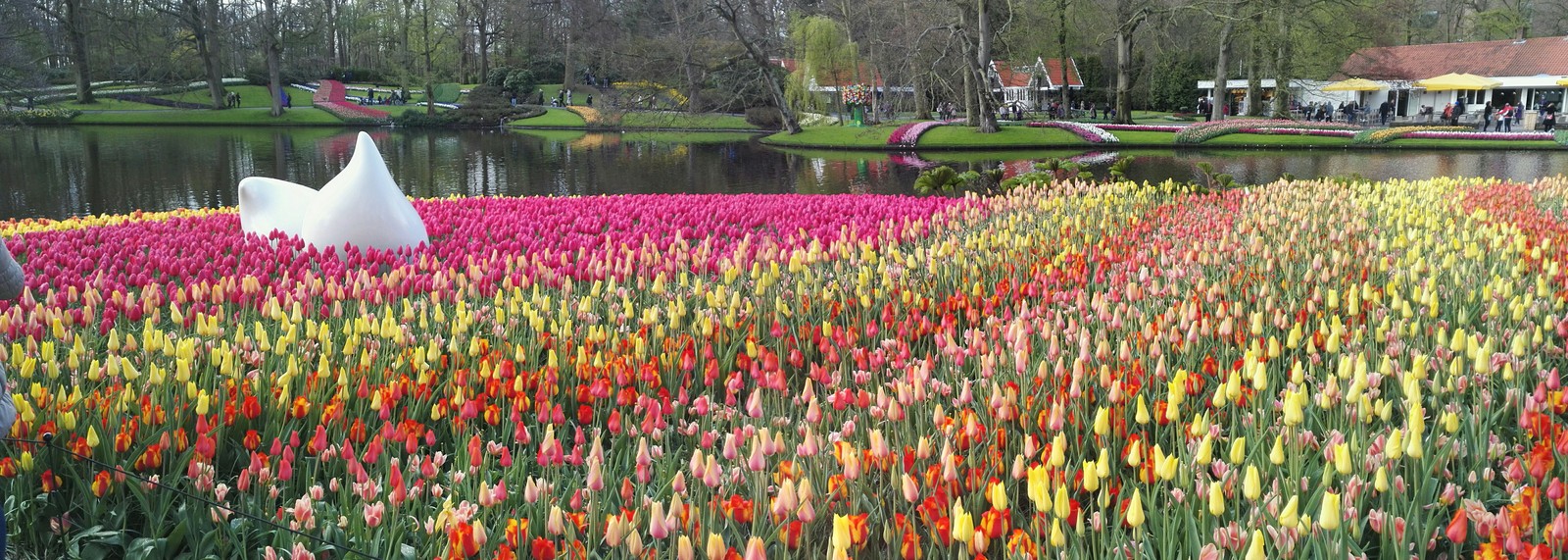 Flower Park Holland 2017 - My, The park, Holland, Longpost, Netherlands (Holland)