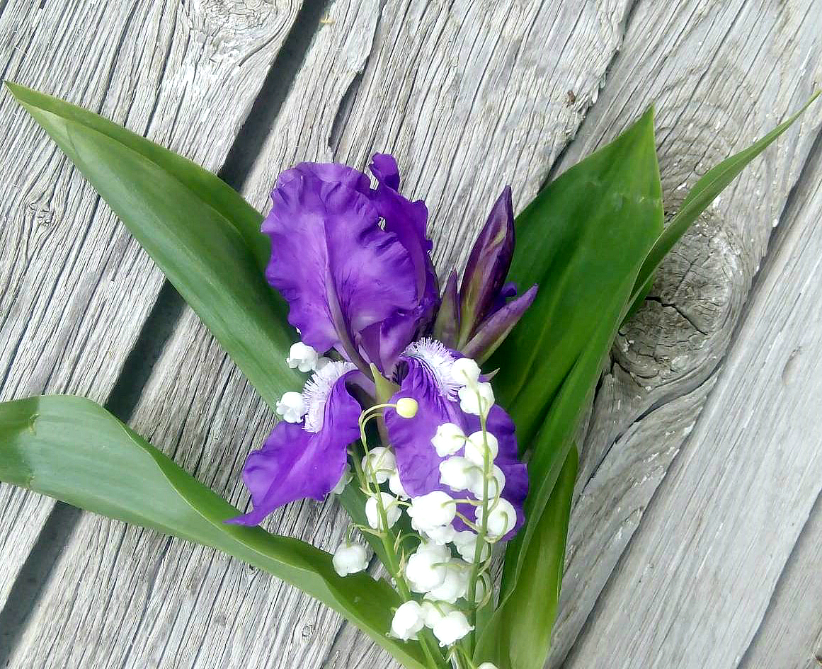 Hairpin with iris flower - My, Polymer clay, Cold porcelain, Decoration, Flowers, Irises, Needlework without process, Longpost