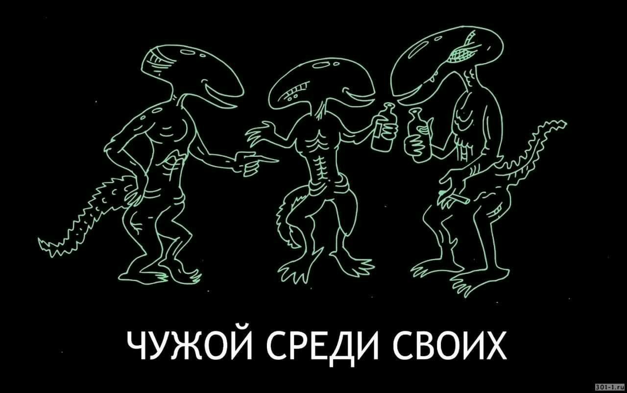 Свой среди чужих. - Свой, Чужой