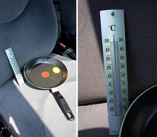 Guy left an egg in his car on a hot day to show why you shouldn't leave your dog there - Heat, Auto, Omelette, Cruelty, The photo, Longpost, Dog